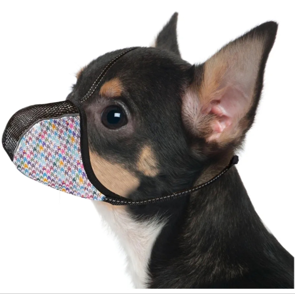 Colorful Dog Muzzle